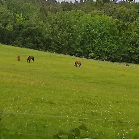 Pod Sribrnou Horou Appartement *