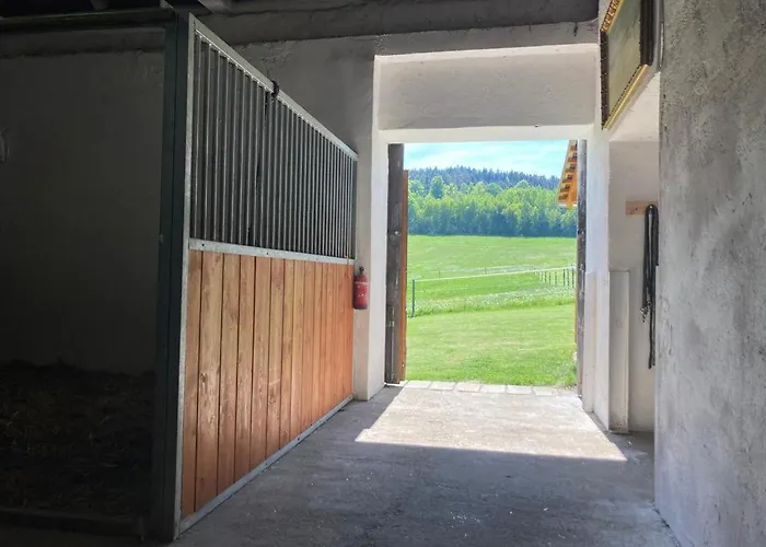 Apartment Pod Sribrnou Horou *